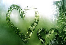 天涯论坛删贴风波：网友热议背后的真相揭秘！